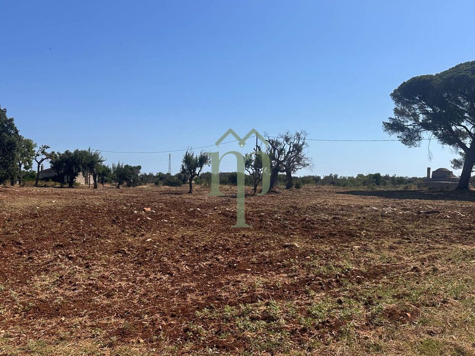 Ruin i Carovigno, Brindisi - bilde 3